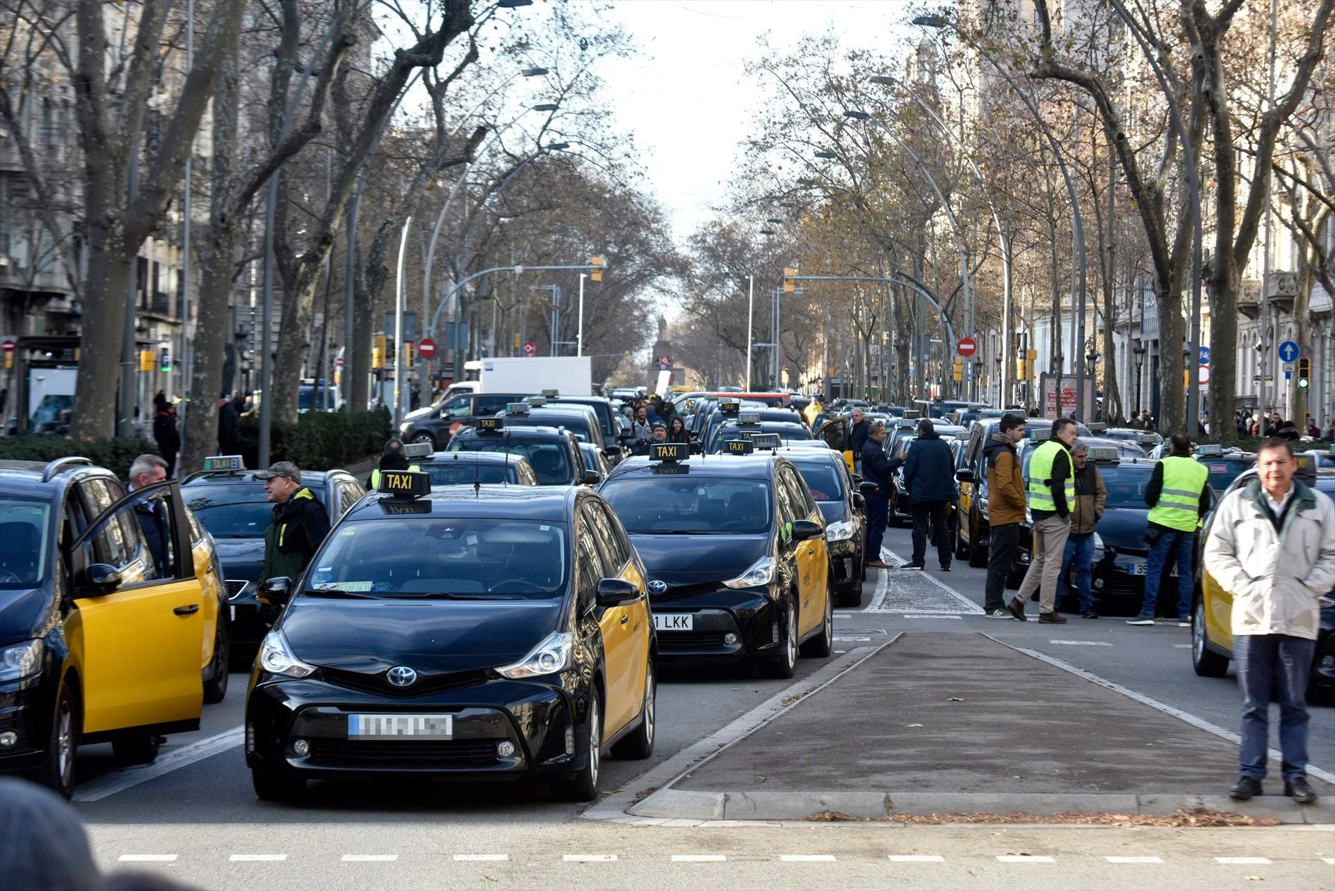Varios taxis protestan durante una concentración de taxistas, a 25 de enero de 2025, en Barcelona, Catalunya (España).