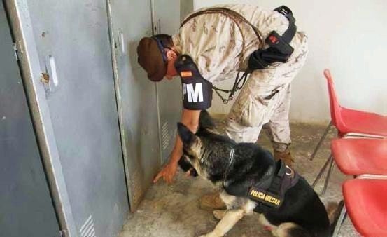 Un policía militar revisa unas taquillas con un perro detector.
