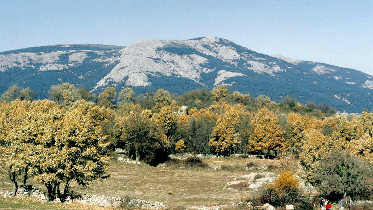 Robles y monte Abantos en segundo plano (Wikipedia)