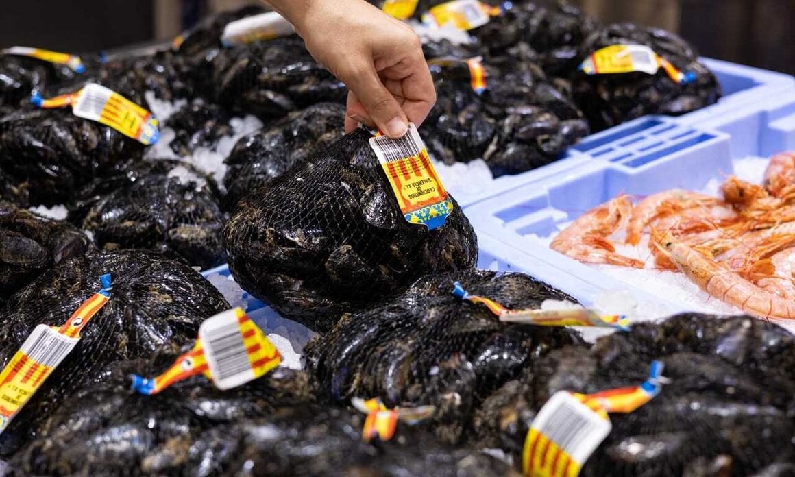 Cl&oacute;china valenciana en la Pescader&iacute;a de Mercadona