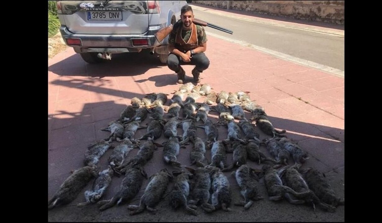 Conejos cazados en &Eacute;pila (Zaragoza)
