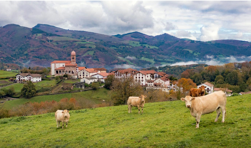 Comunidad Foral de Navarra.