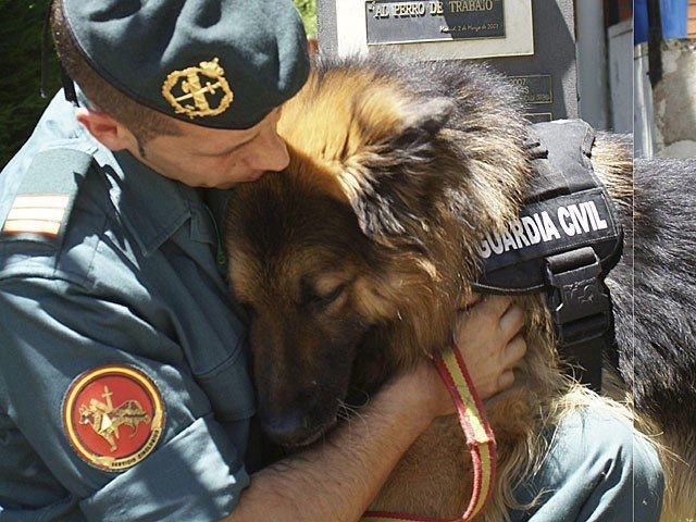 Ajax, uno de los mejores perros que ha tenido la Guardia Civil.