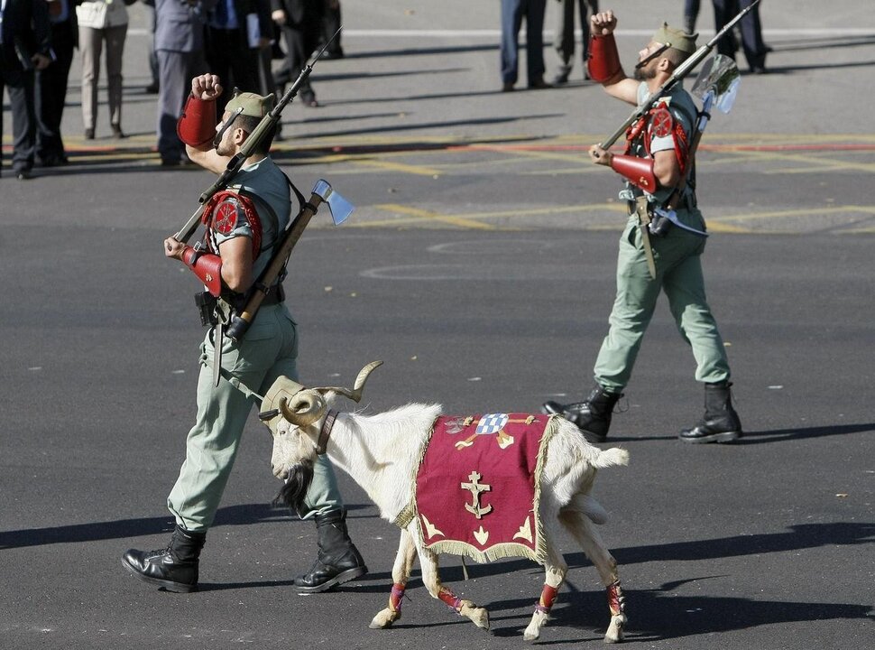 La cabra de la Legi&oacute;n.