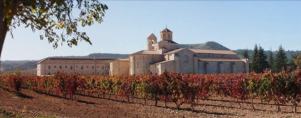 Vista desde los viñedos del hotel Castilla Termal Monasterio de Valbuena. 