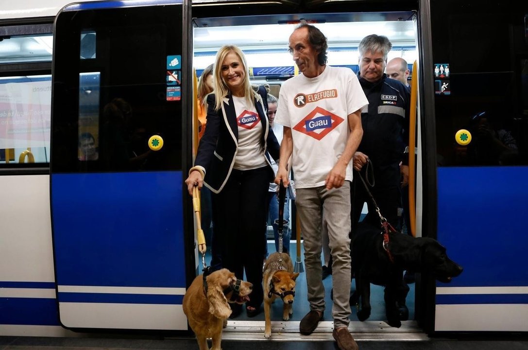 Cifuentes presenta el permiso para que los perros viajen en Metro de Madrid.