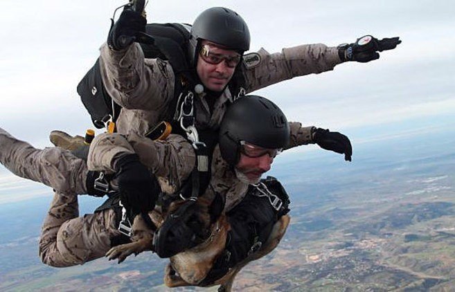 Paracaidistas del Ejercito de Tierra con perros en tándem.