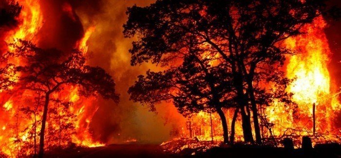 Gran incendio en una reserva en España.