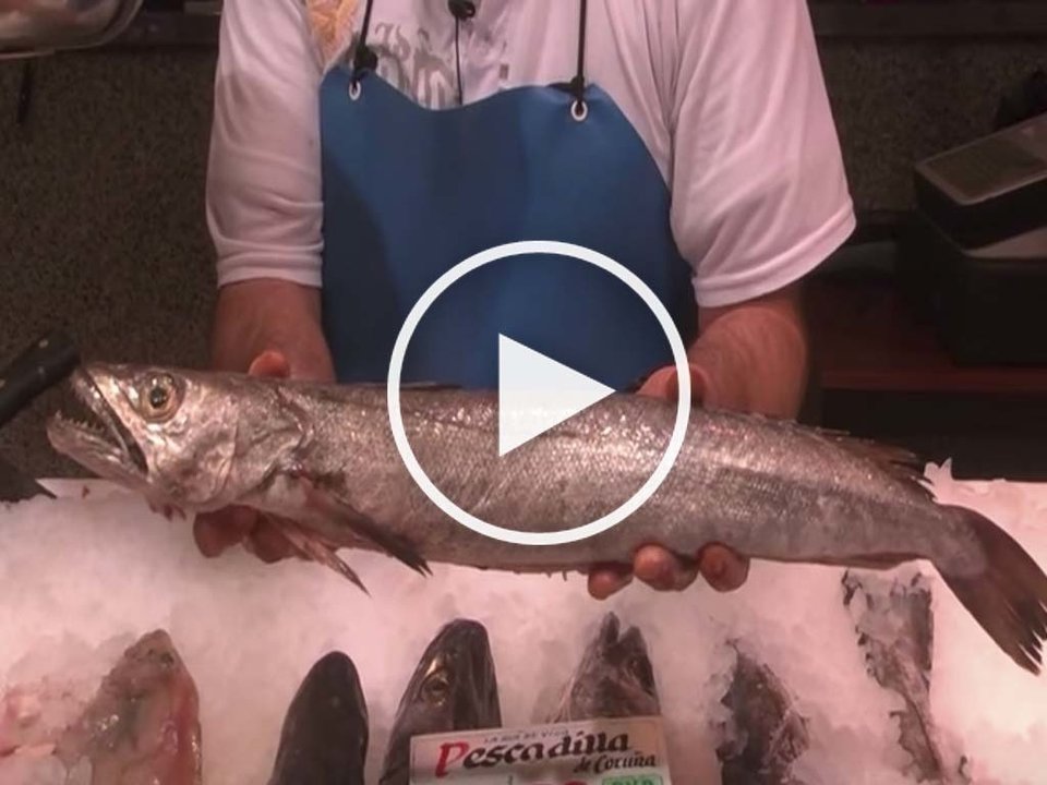Foto vídeo: pescado 