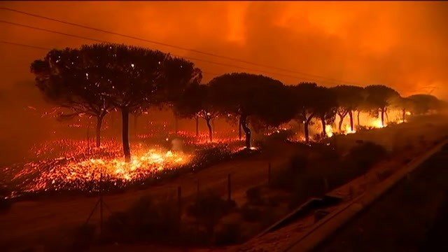 Incendio de Doñana y alrededores