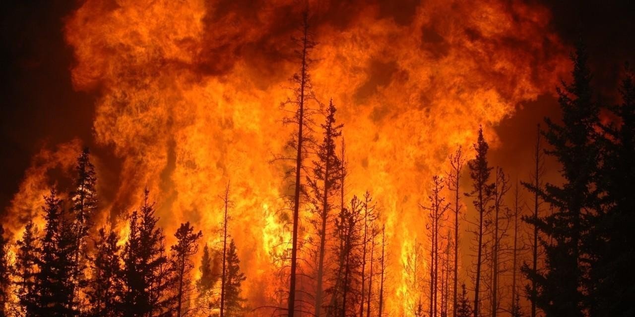 Gran incendio forestal. 