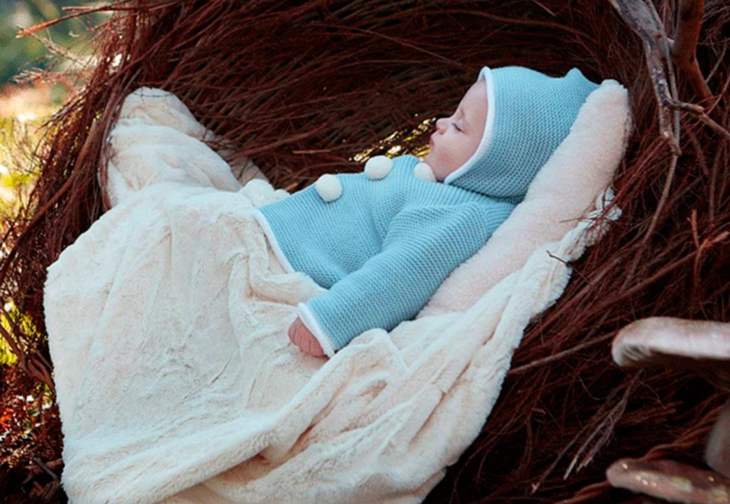 Un recién nacido en un cesta de mimbre.