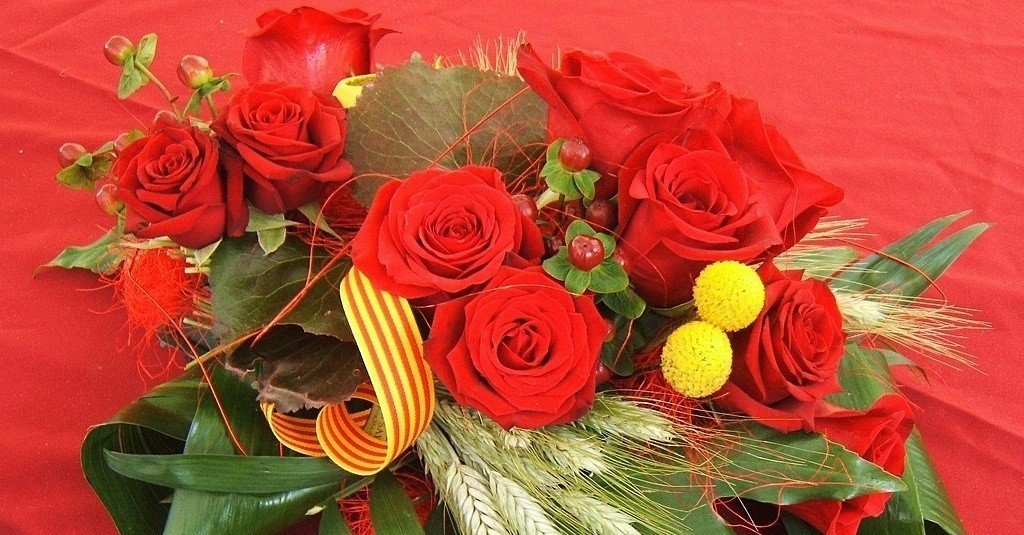 Rosas de Sant Jordi.