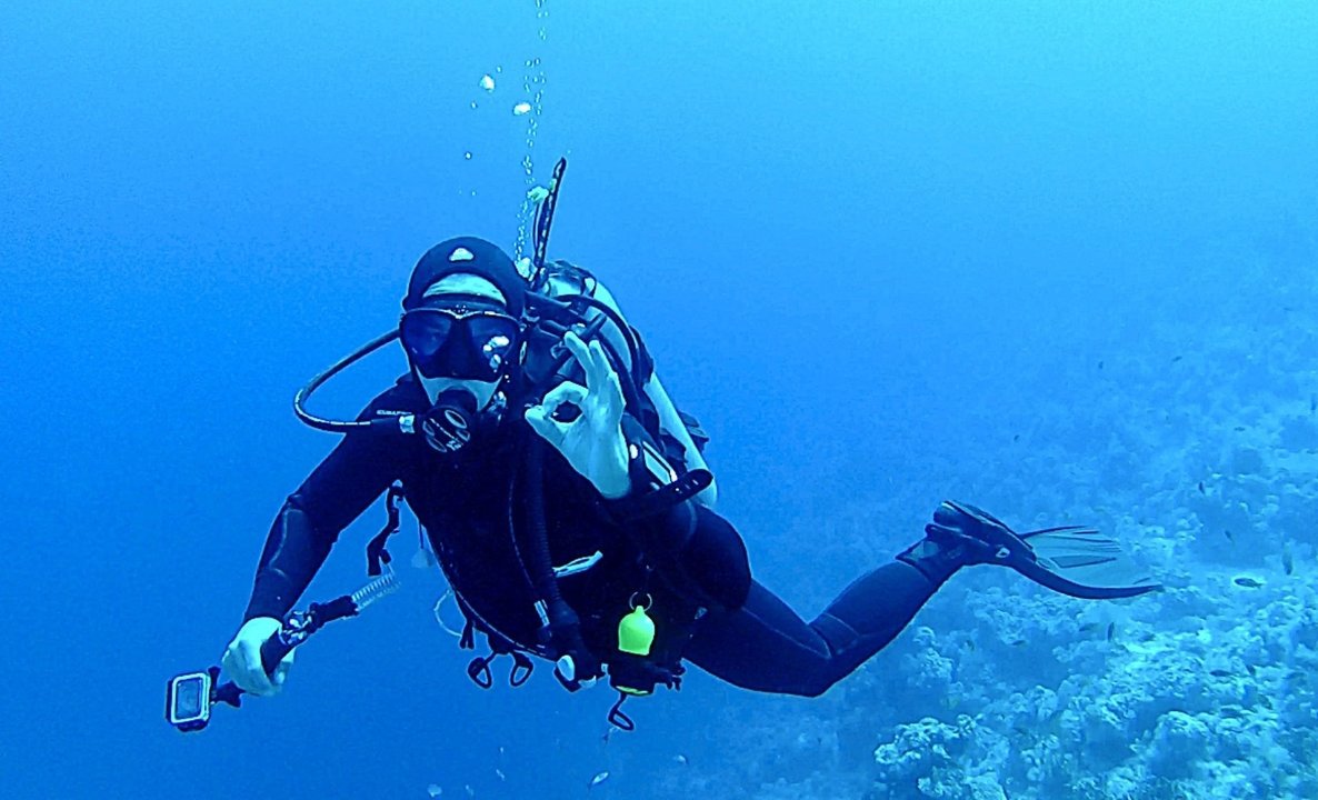 water-recreation-diving-underwater-biology-extreme-sport-1215810-pxhere.com