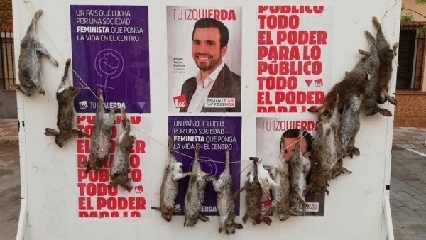 Conejos muertos colgados sobre carteles electorales de IU.