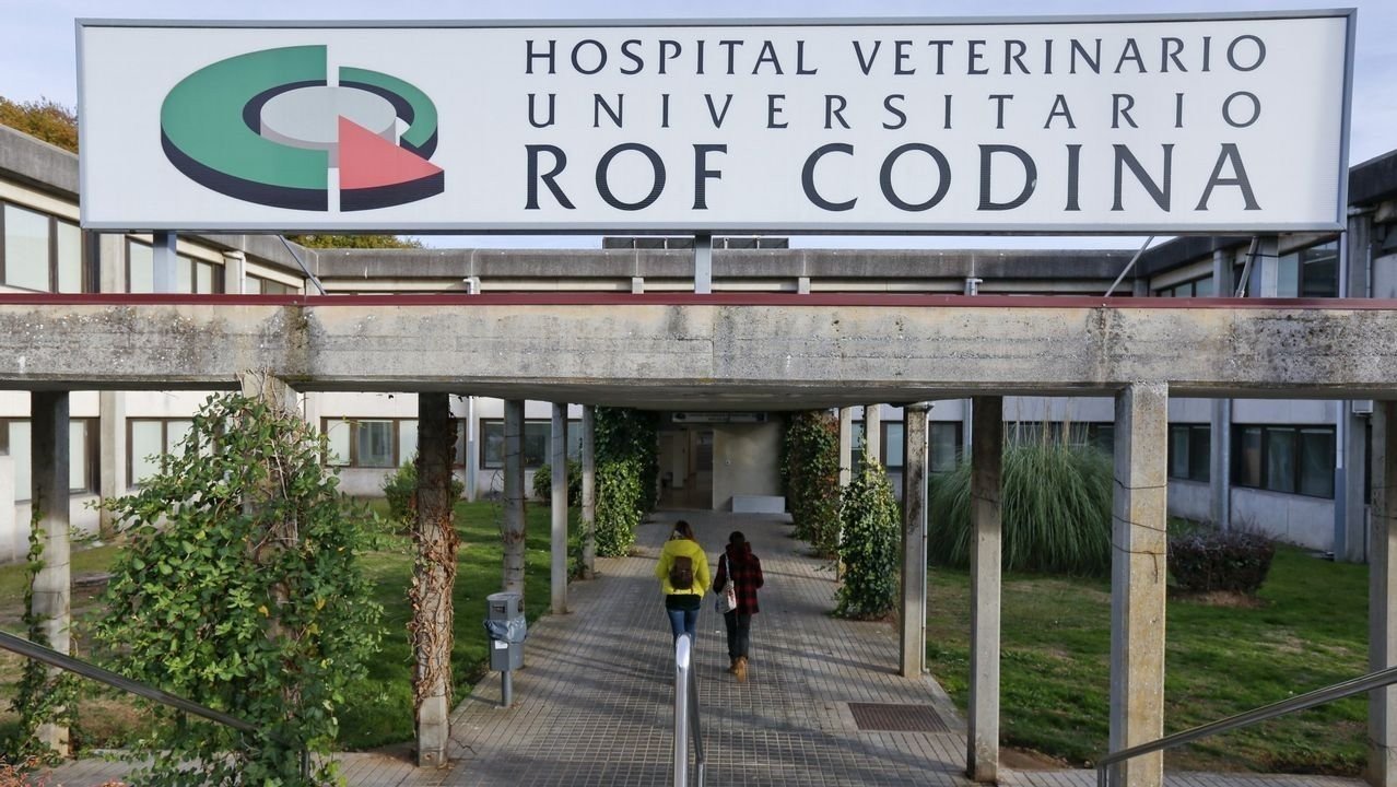 Hospital Veterinario Rof Codina de Lugo.