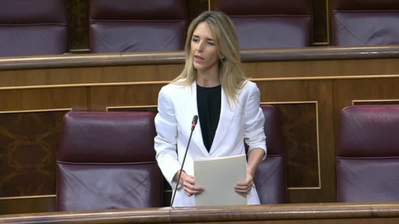 Cayetana Álvarez de Toledo en la sesión de control al Gobierno en le Congreso de los Diputados el 15 de abril de 2020 (foto: Congreso)
