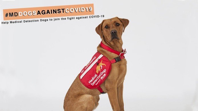 Campaña de la Medical Detection Dogs para financiar el proyecto