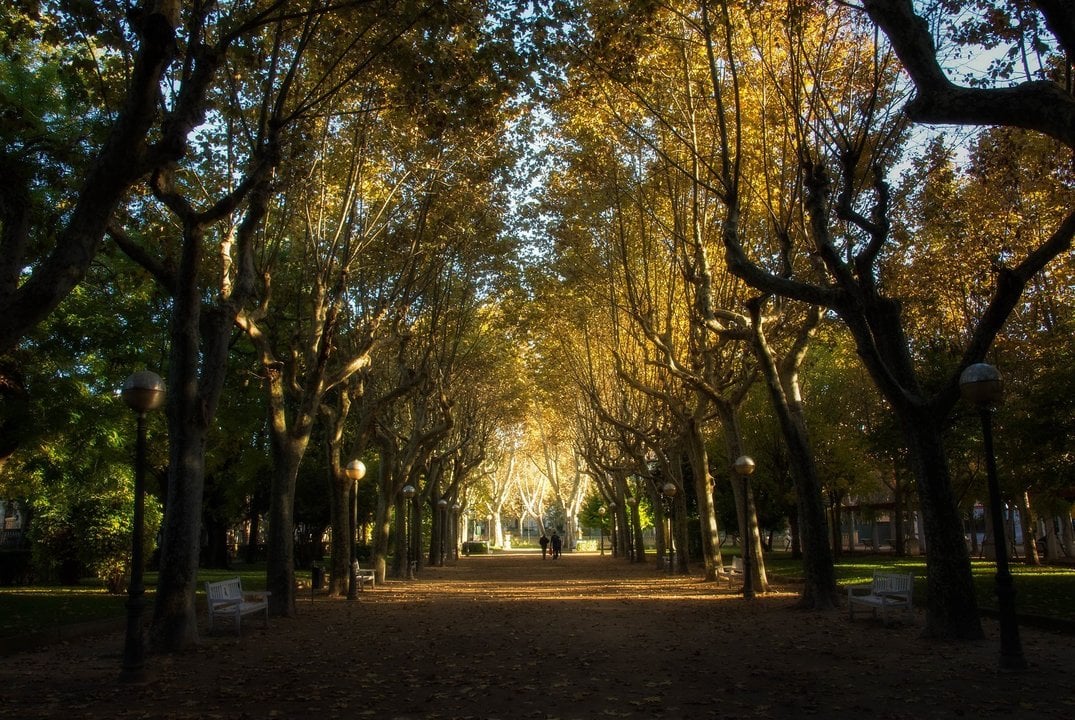 Parque en Oviedo en otoño