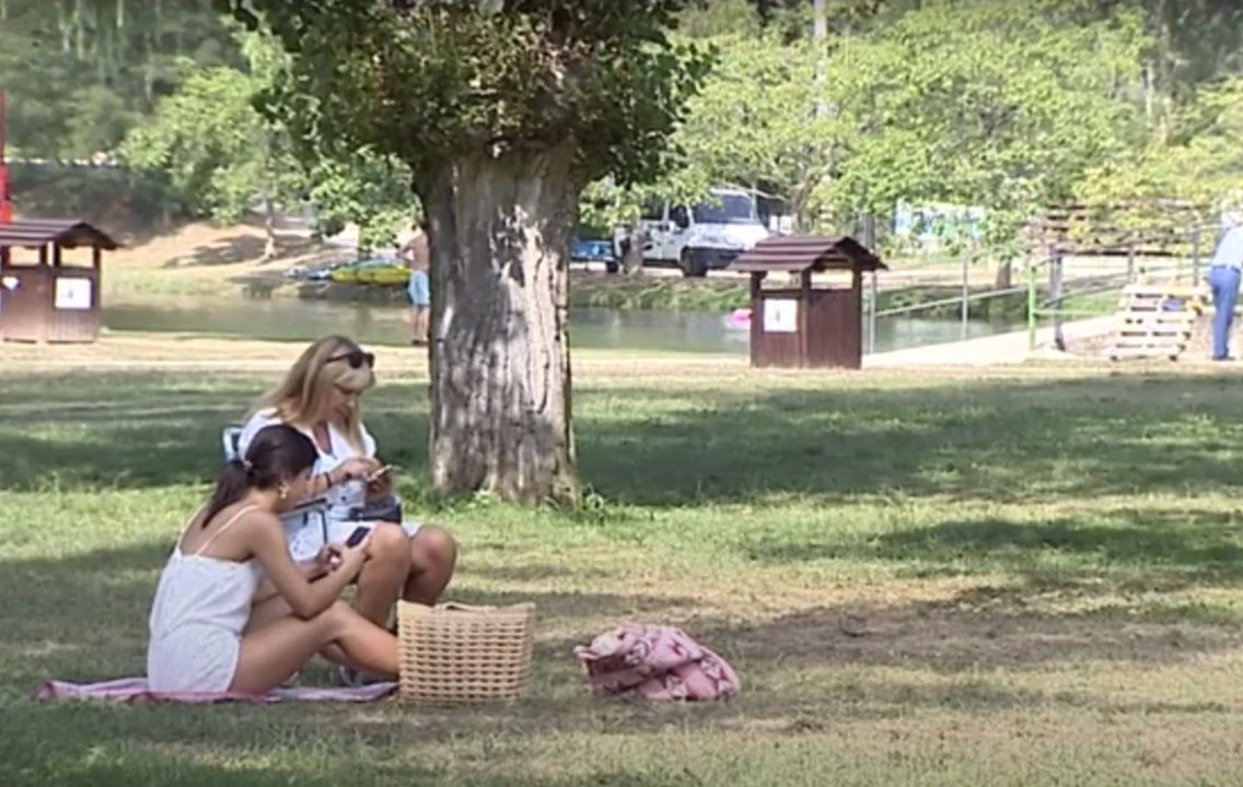 Familia en un parque utilizando sus dispositivos electrónicos