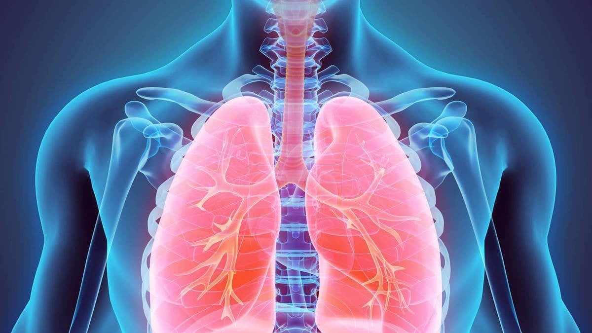 Aumentan las muertes por enfermedades respiratorias: crecen un 37% en 40 años.