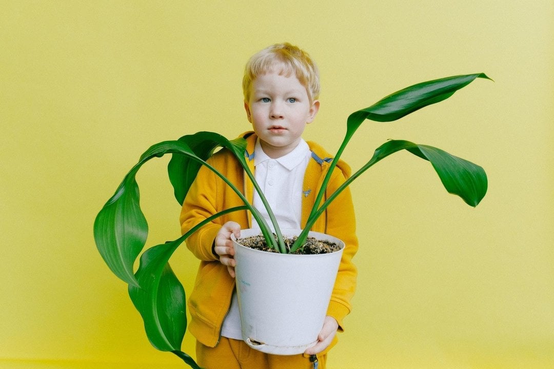 Un niño con una planta en las manos.