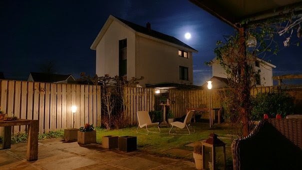 Un jardín bajo el cielo nocturno.