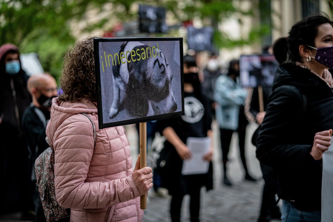 Una manifestación en Vitoria reclama la liberación de los animales del laboratorio de Vivotecnia.