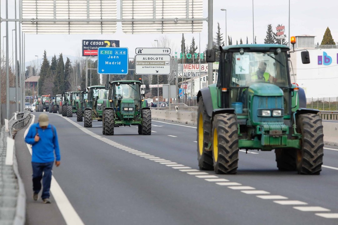 Manifestacion de agricultores con tractores a su entrada en Granada.