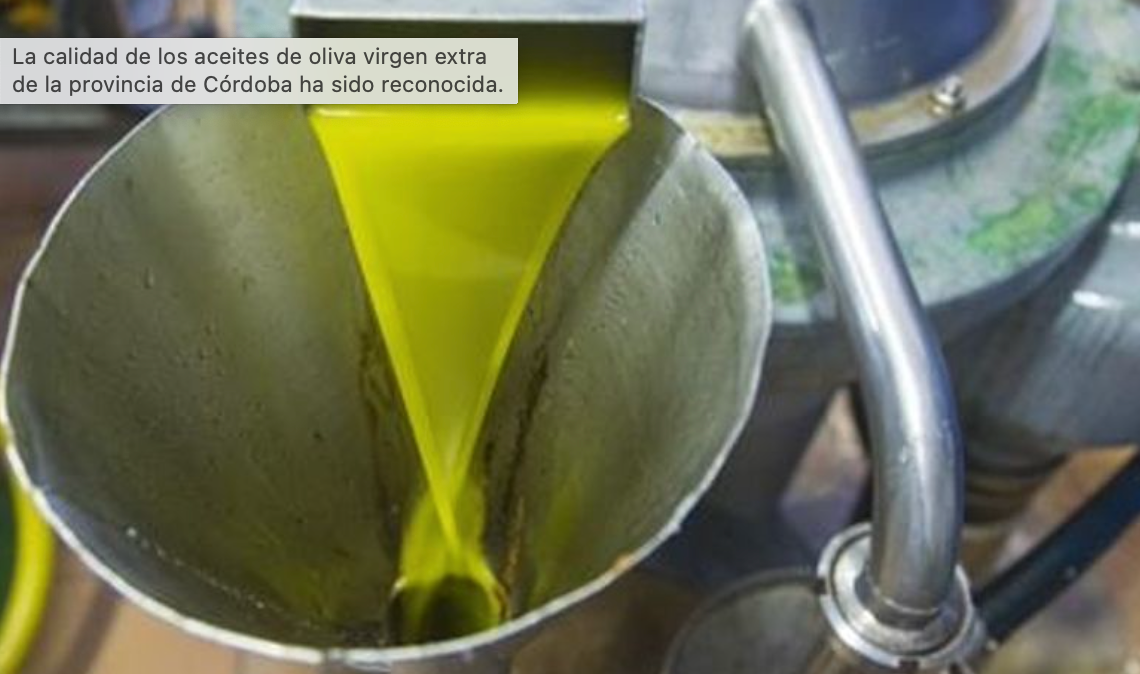 La calidad de los aceites de oliva virgen extra de la provincia de Córdoba ha sido reconocida.