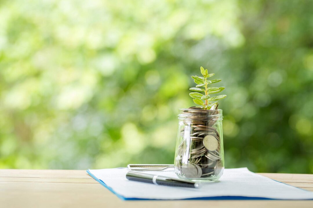 Plant growing from coins in the glass jar on blurred green natural background. copy space for business and financial growth concept.