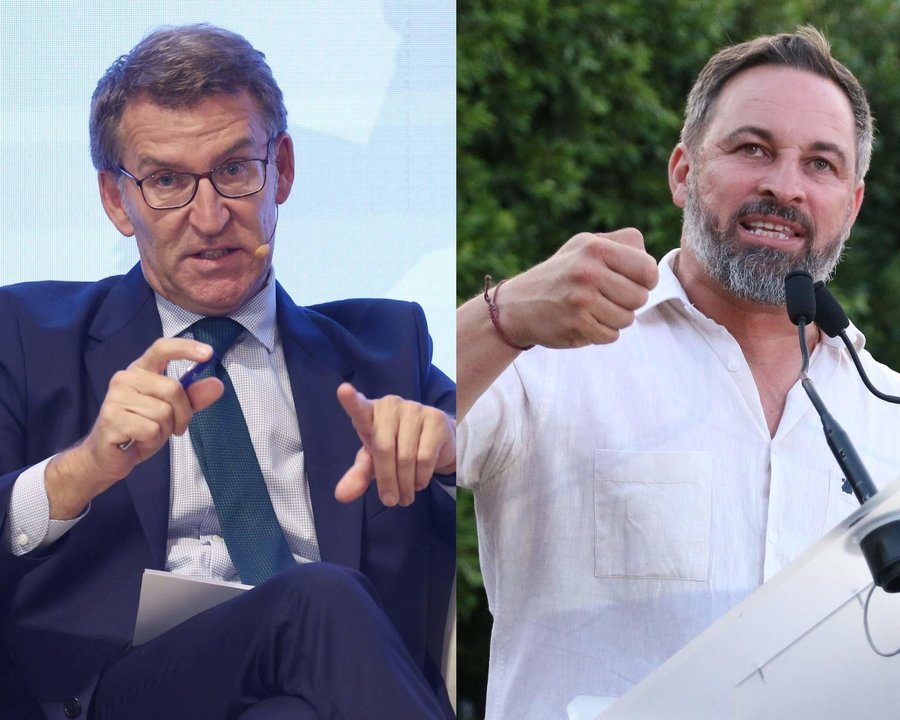 Los presidentes del Partido Popular y de Vox, Alberto Núñez Feijóo y Santiago Abascal, mantuvieron su primera reunión la pasada semana.