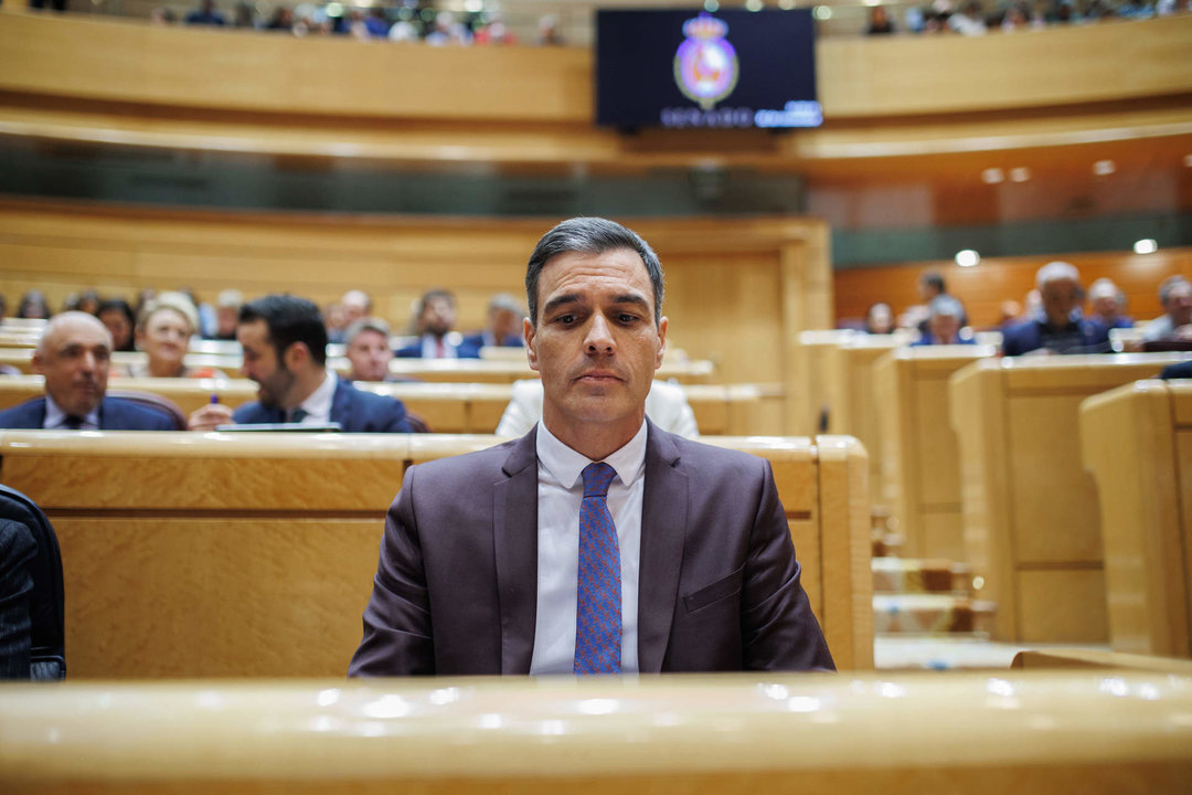 Pedro Sánchez, en el Senado.