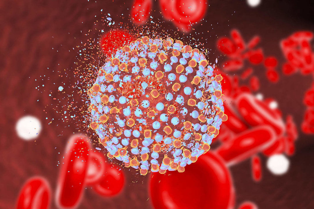 La hepatitis C se propaga a través del contacto con la sangre de alguien que tiene el virus de la hepatitis C (VHC).