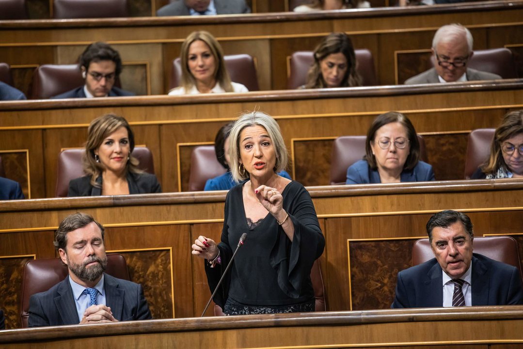 La diputada de Vox por la provincia de Toledo, Inés Cañizares durante su intervención este miércoles en el Congreso de los Diputados.