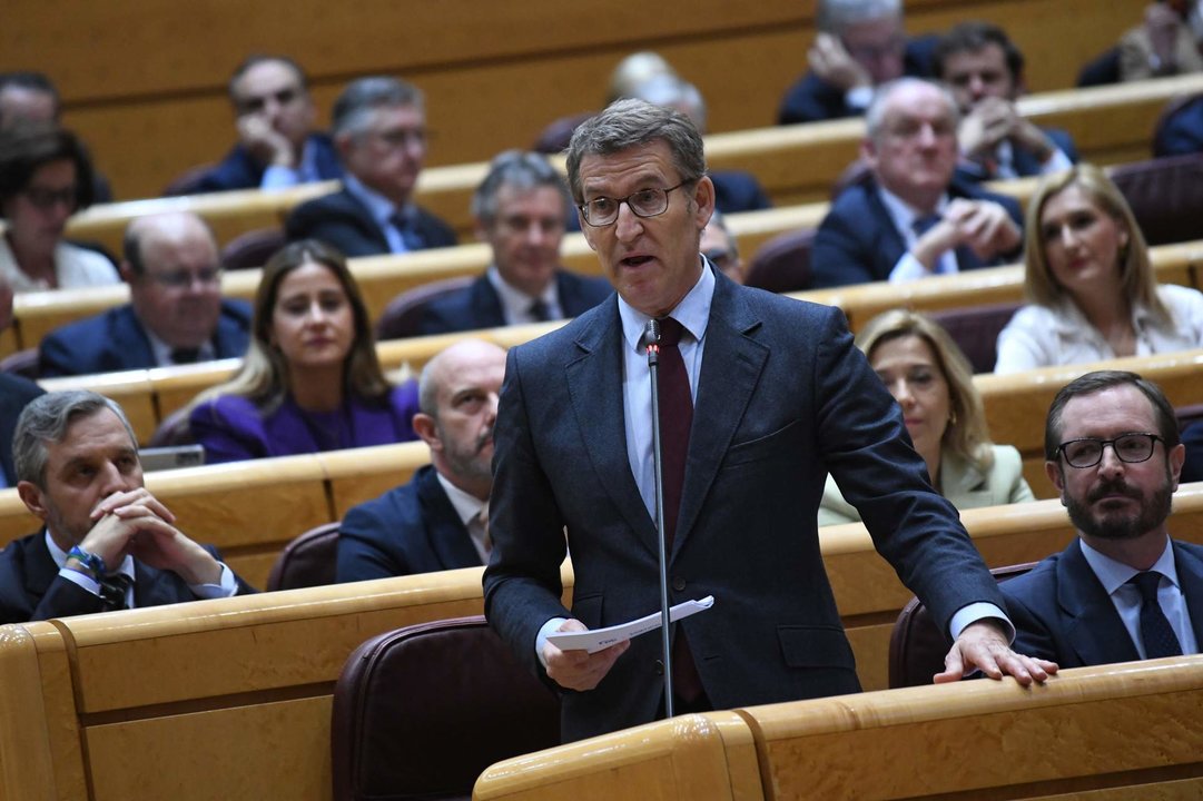 El líder del Partido Popular, Alberto Núñez Feijóo, interviene durante una sesión de control al Gobierno en el Senado.