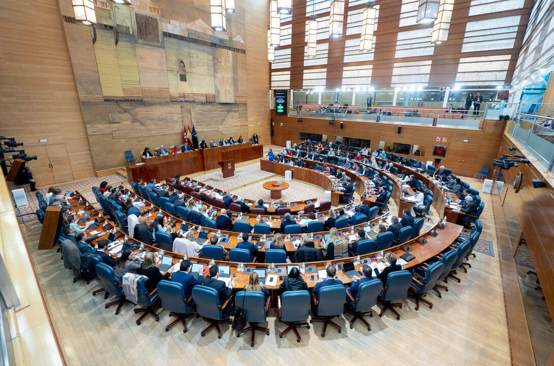 Pleno de la Asamblea de Madrid.