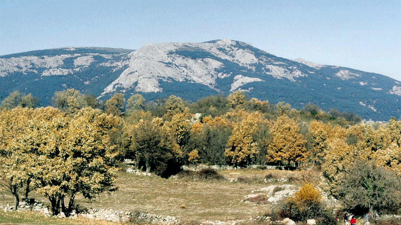 Robles y monte Abantos en segundo plano (Wikipedia)