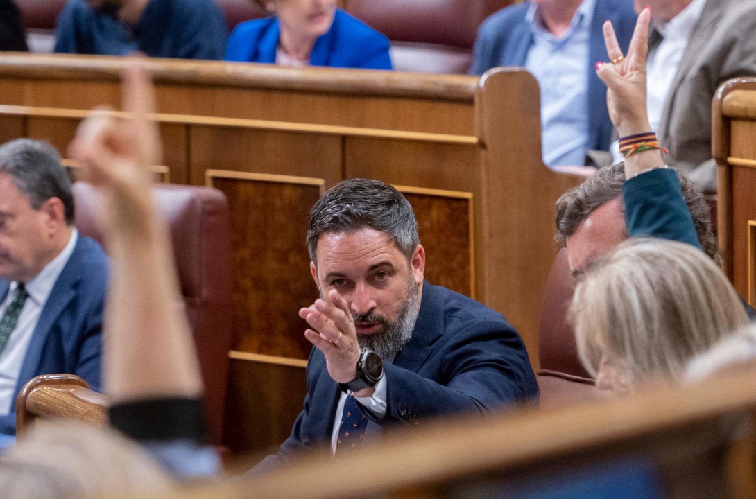 El líder de Vox, Santiago Abascal, durante las votaciones de una sesión plenaria, en el Congreso de los Diputados.