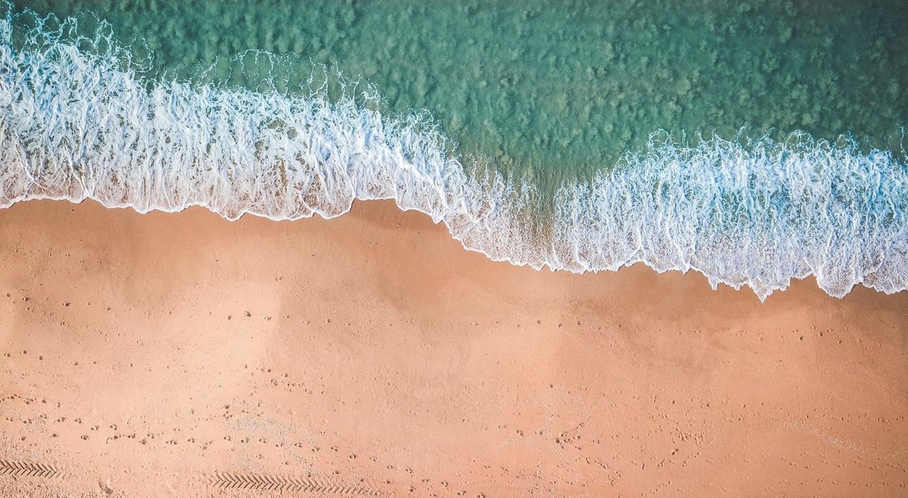 Estas son las playas con más riesgo de encontrarte con una faneca en España.