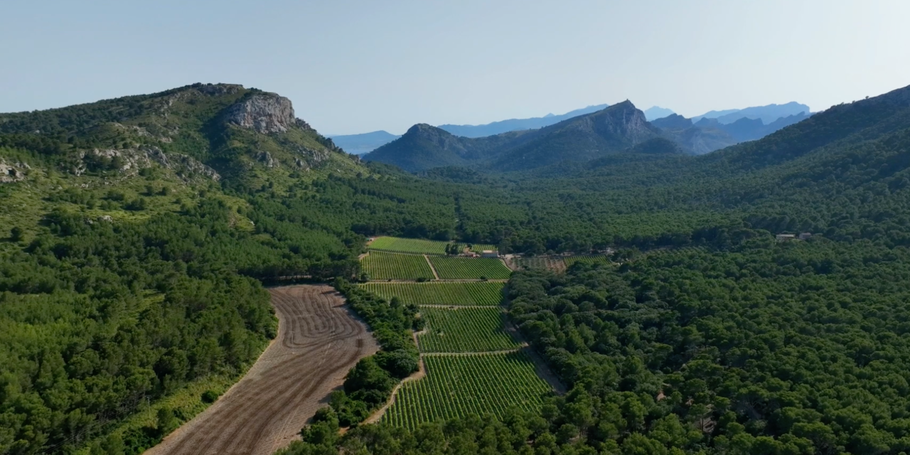 La actividad forestal y agrícola en la finca Formentor impulsada por Jordi Badia Llorens, CEO de Emin Capital.