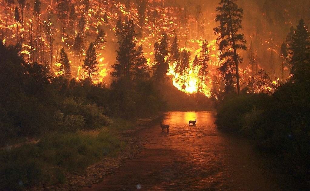 Incendios descontrolados en España.