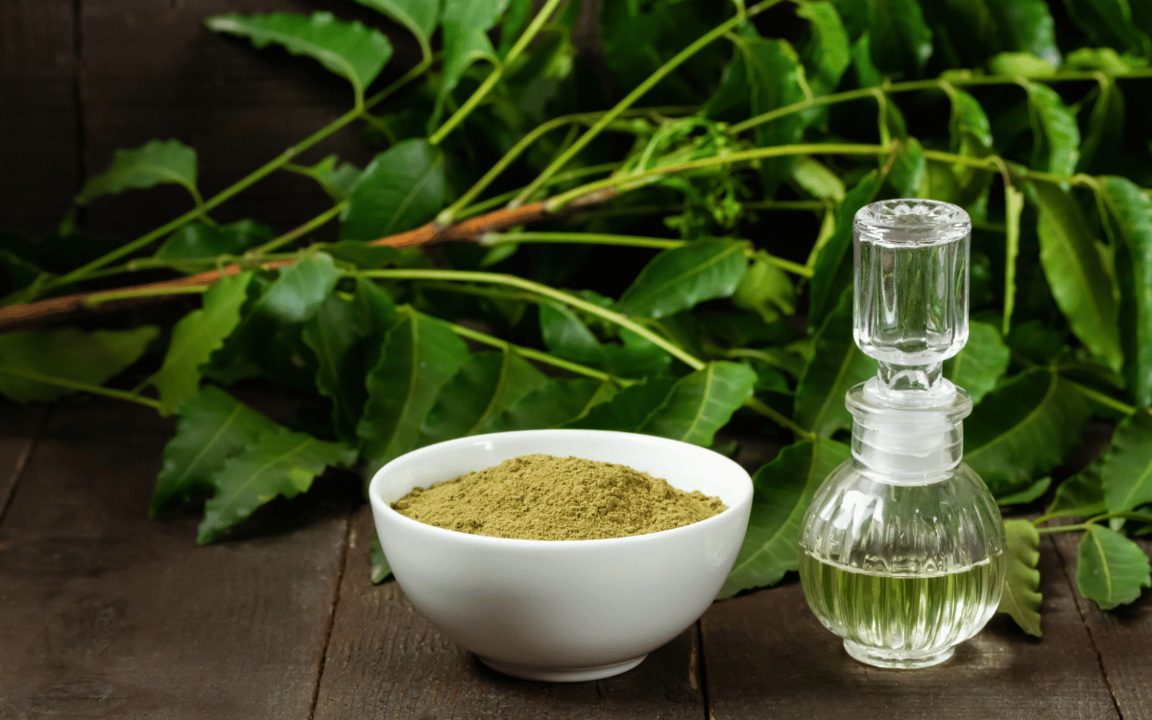 Usos y beneficios del aceite de neem: una mirada profunda a la agricultura, la salud y el cuidado personal