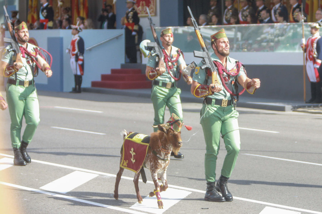 La mascota de la Legión, en el desfile del Día de la Fiesta Nacional, el 12 de octubre de 2019 (Foto: Ricardo Rubio / Europa Press).