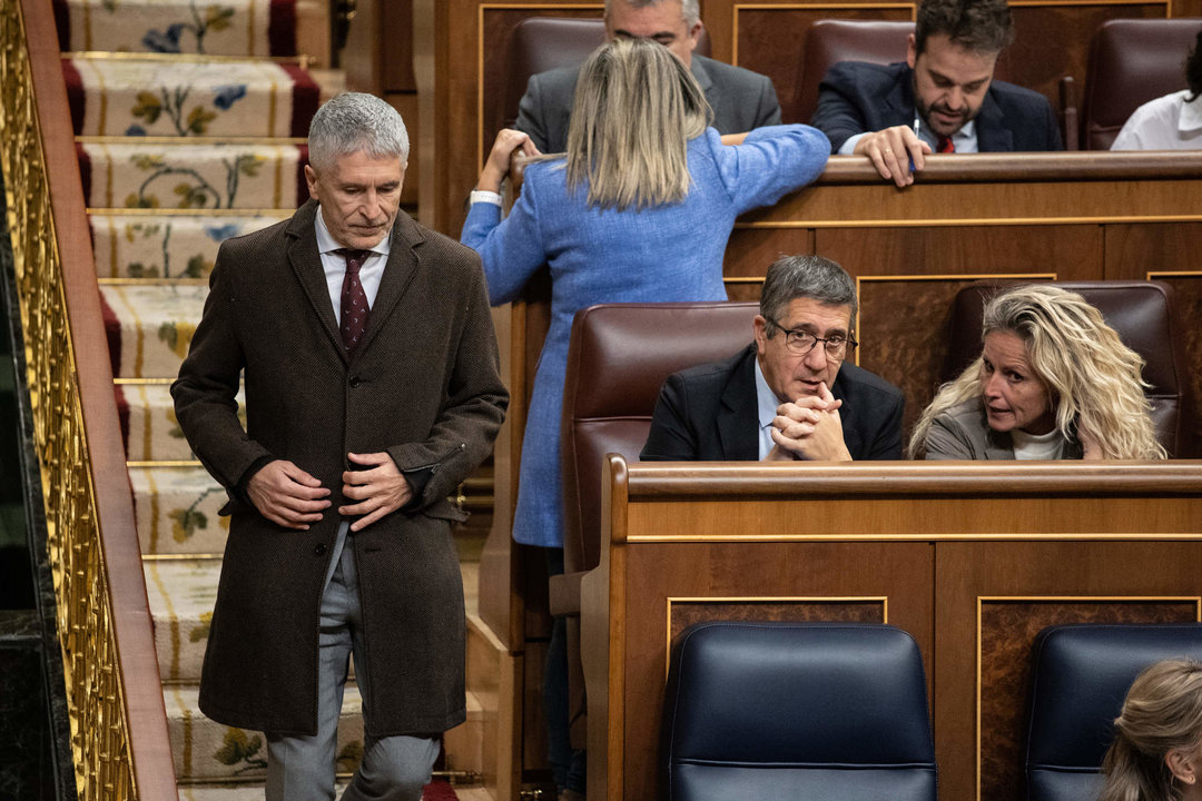 Archivo - El ministro de Interior, Fernando Grande-Marlaska (i), y el portavoz del PSOE en el Congreso, Patxi López, durante una sesión plenaria, en el Congreso de los Diputados.