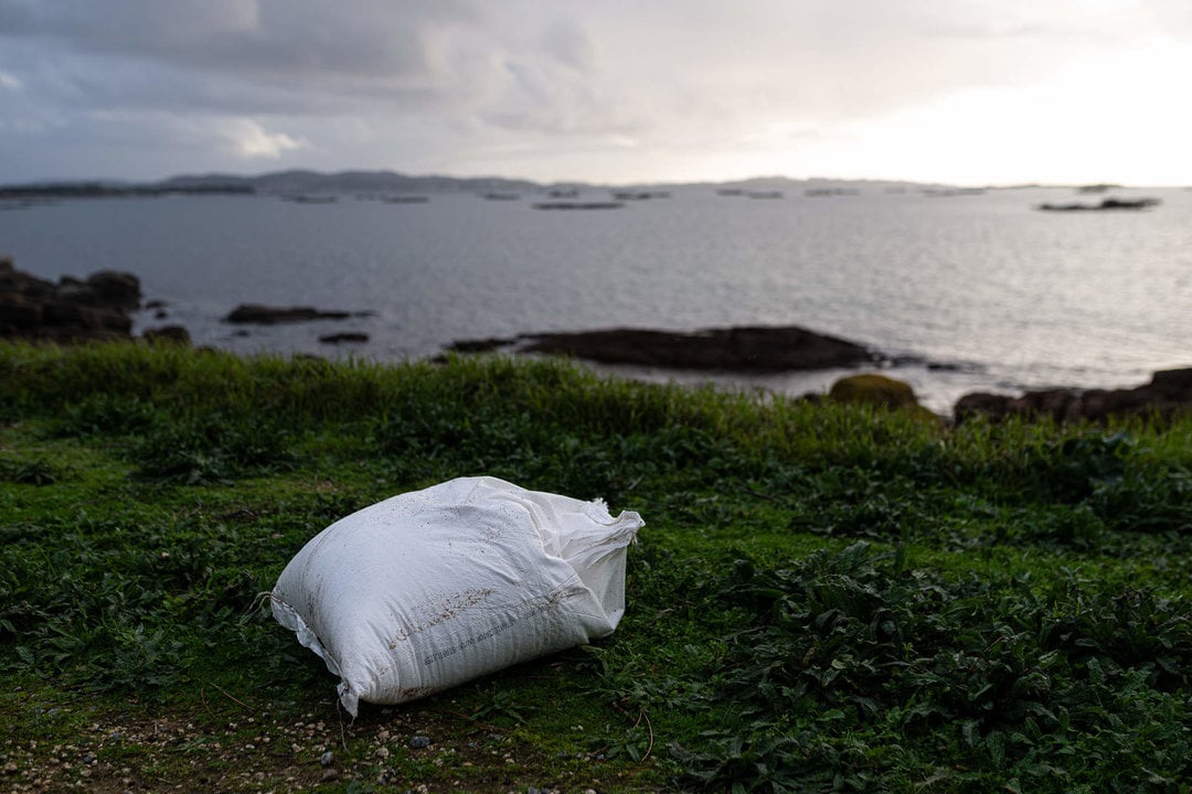 Saco de pellets en Illa de Arousa, en Pontevedra, Galicia (Foto: Elena Fernández / Europa Press)