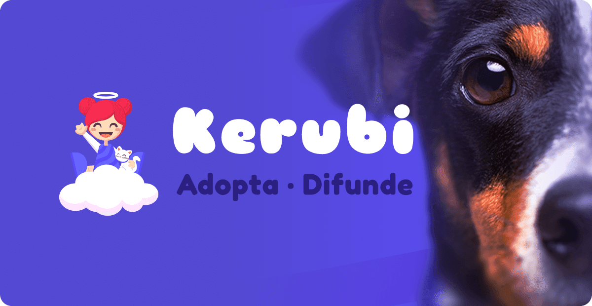 Kerubi, plataforma de adopción