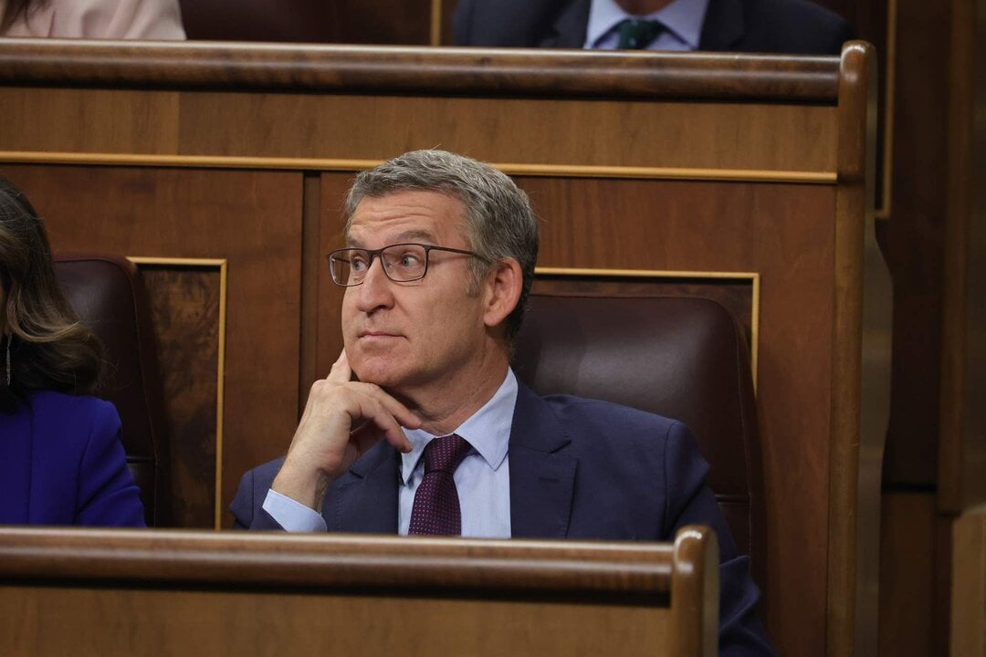 El l&iacute;der del PP, Alberto N&uacute;&ntilde;ez Feij&oacute;o, durante una sesi&oacute;n de control al Gobierno en el Congreso.