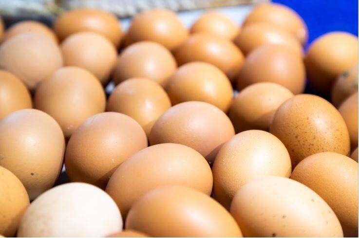 Huevos frescos, uno de los productos cuyo precio ha reducido Mercadona dentro de la rebaja aplicada a m&aacute;s de 100 art&iacute;culos de su surtido. Freepik