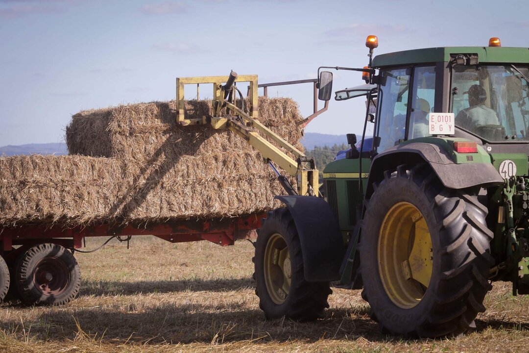 Calvo, Abad&iacute;n, Lugo. Siega de trigo destinado a la alimentaci&oacute;n de una ganader&iacute;a de vacuno de leche en ecol&oacute;gico. Los precios de los cereales alcanzan m&aacute;ximos hist&oacute;ricos. Los precios contin&uacute;an al alza tras el cierre de los puertos ucranianos.